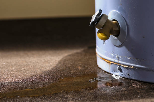Best Basement water damage restoration  in Lamont, CA