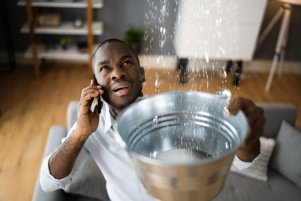 Best Professional water damage repair  in Lamont, CA