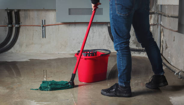 Best Residential water damage restoration  in Lamont, CA