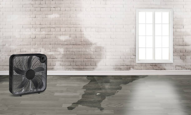 Best Carpet water damage restoration  in Lamont, CA